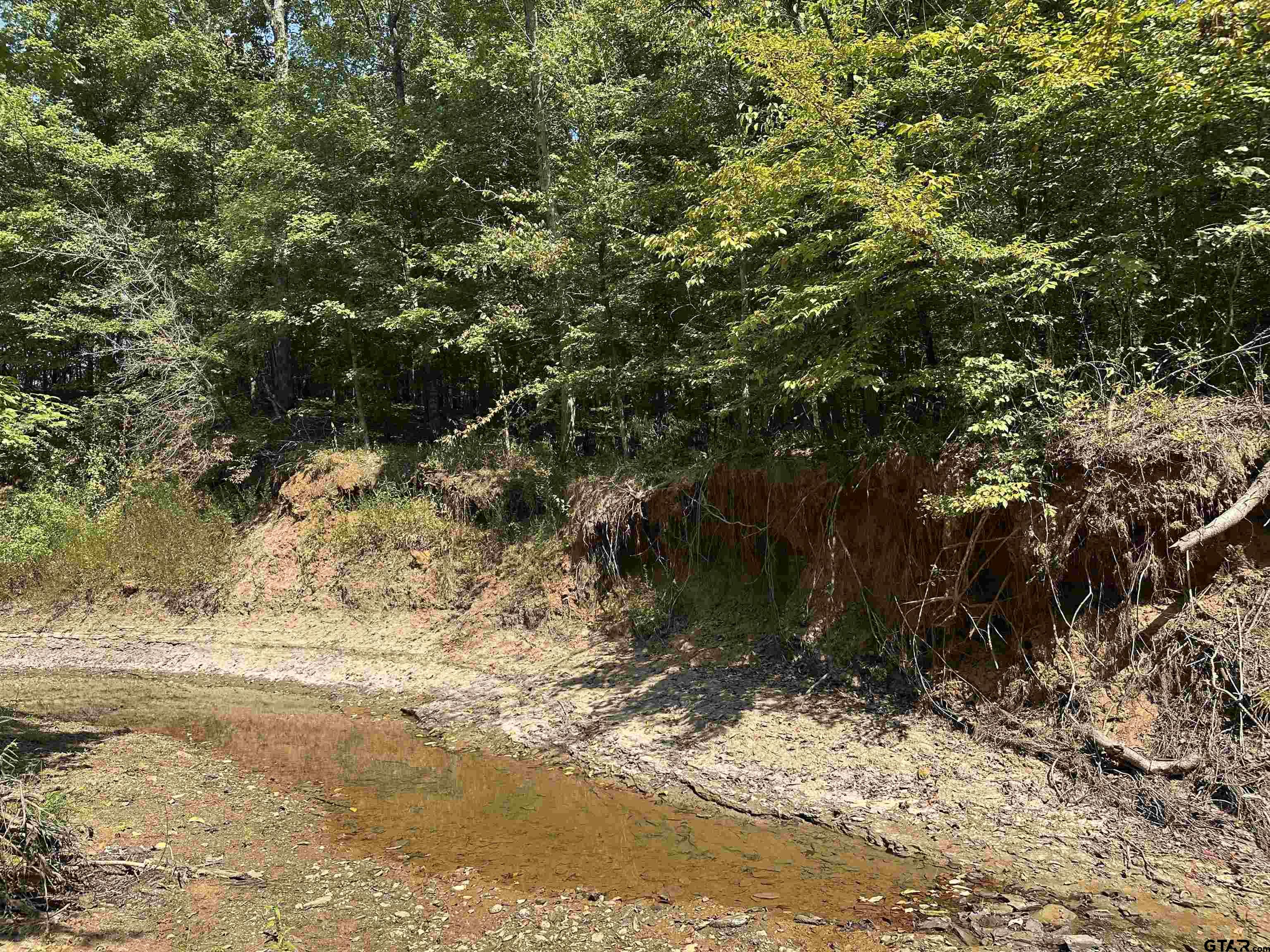 1101 Rusk Tx 75785 Rusk, TX 75785 - Photo 13 of 29 a view of a yard with a tree