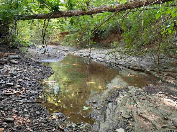 a view of lake with green space