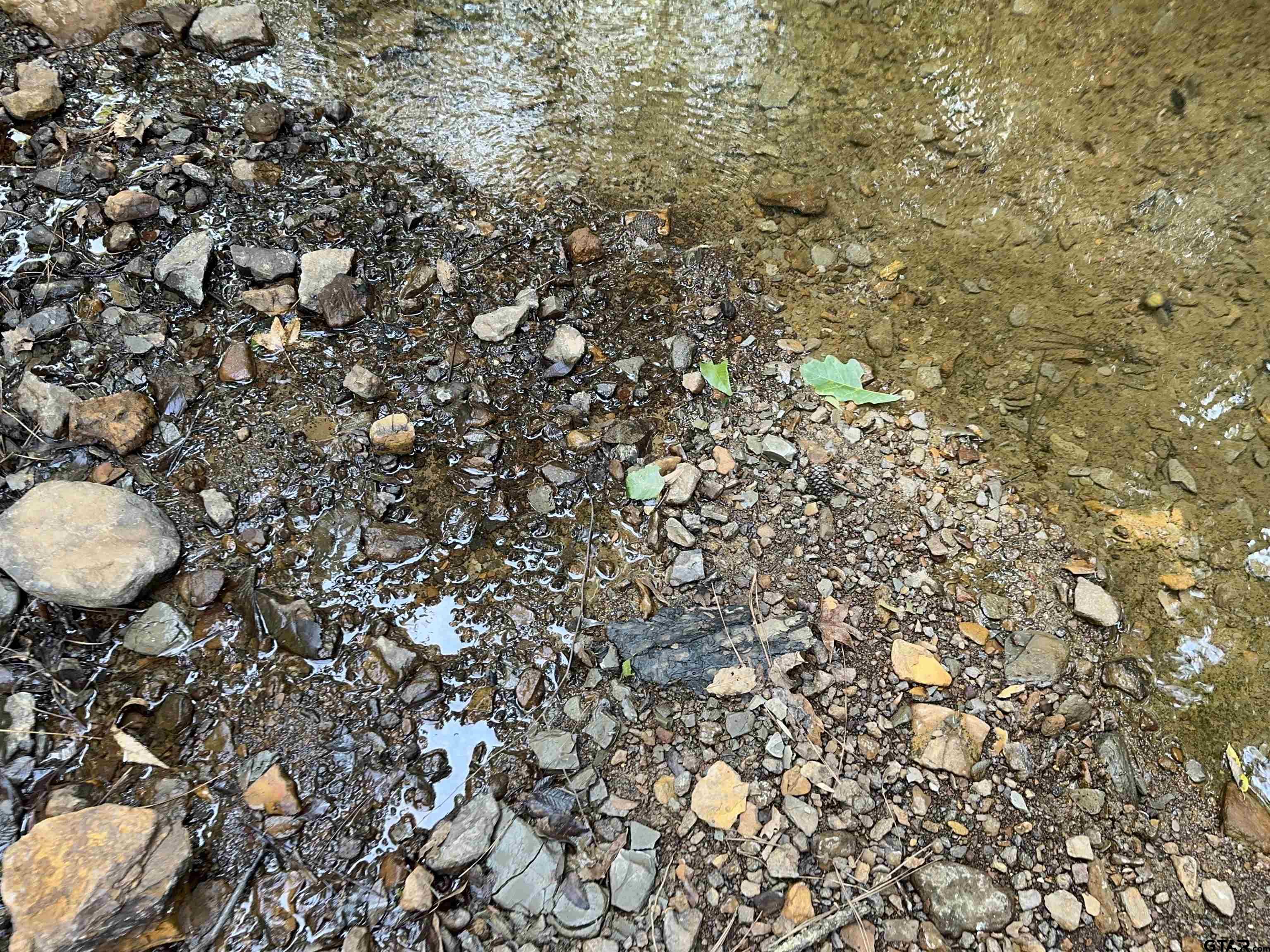 1101 Rusk Tx 75785 Rusk, TX 75785 - Photo 15 of 29 a view of a tree