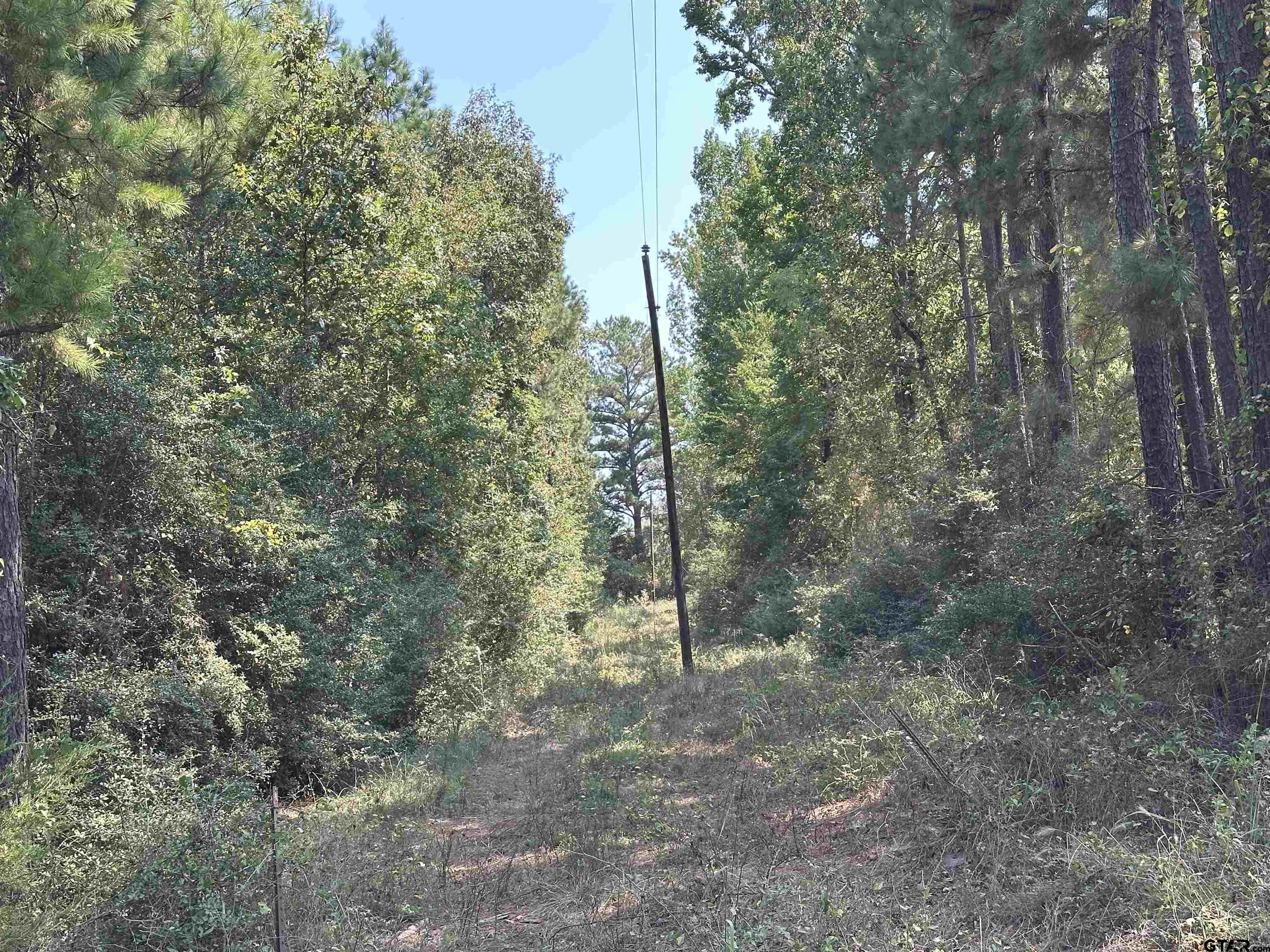 1101 Rusk Tx 75785 Rusk, TX 75785 - Photo 22 of 29 a view of a forest with trees in the background