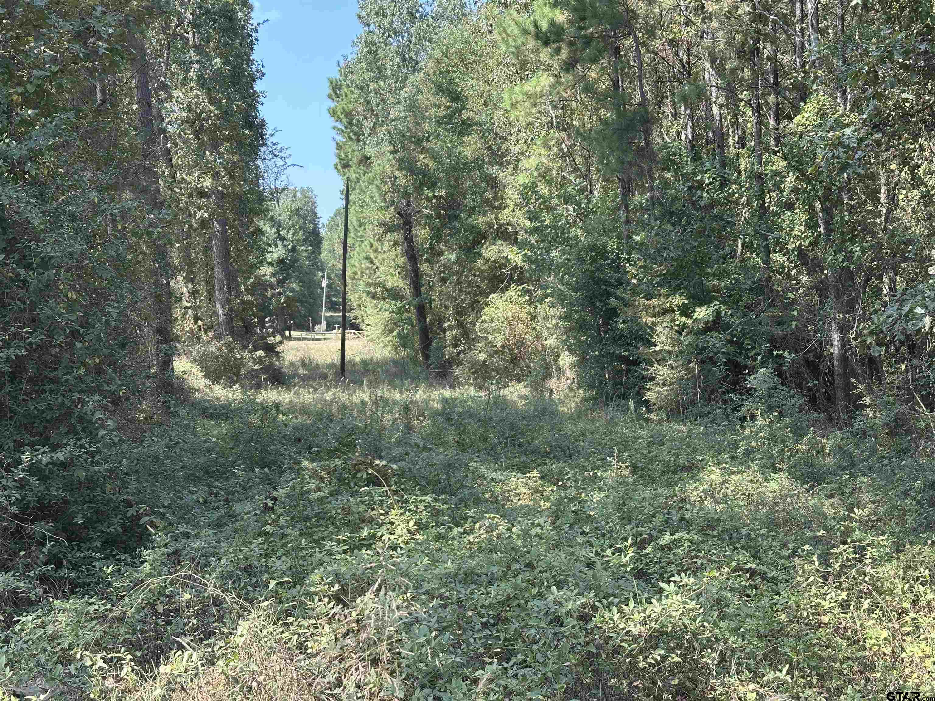 1101 Rusk Tx 75785 Rusk, TX 75785 - Photo 23 of 29 a view of a forest with trees in the background