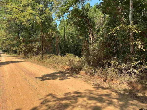 a view of snow on the side of a road
