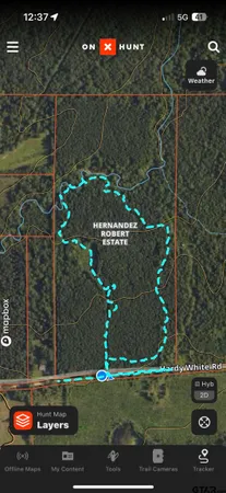 a picture of a door of a building