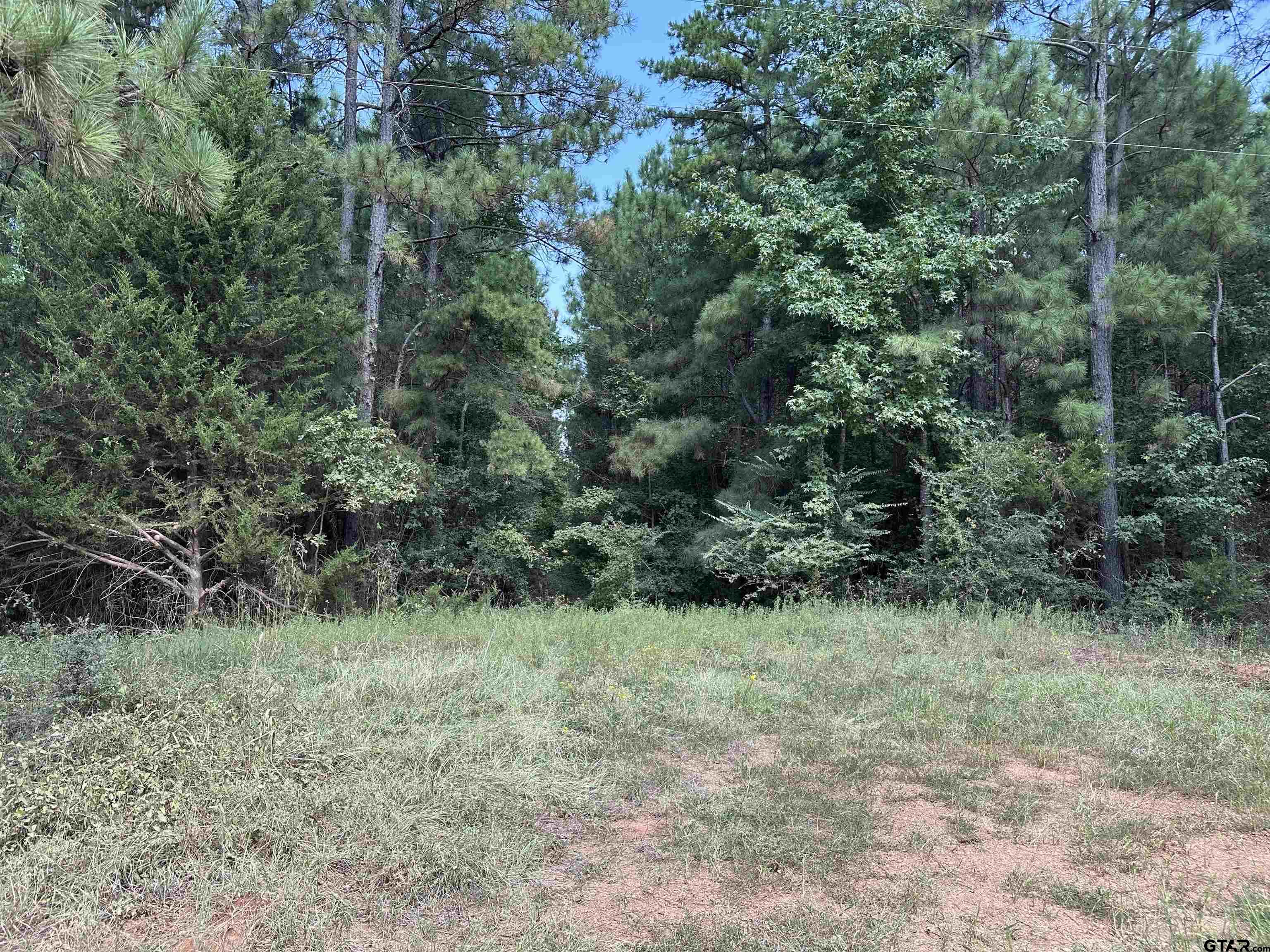 1101 Rusk Tx 75785 Rusk, TX 75785 - Photo 27 of 29 a view of a lush green forest with lots of trees