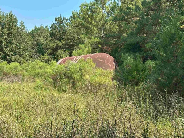 a view of a green yard with large trees