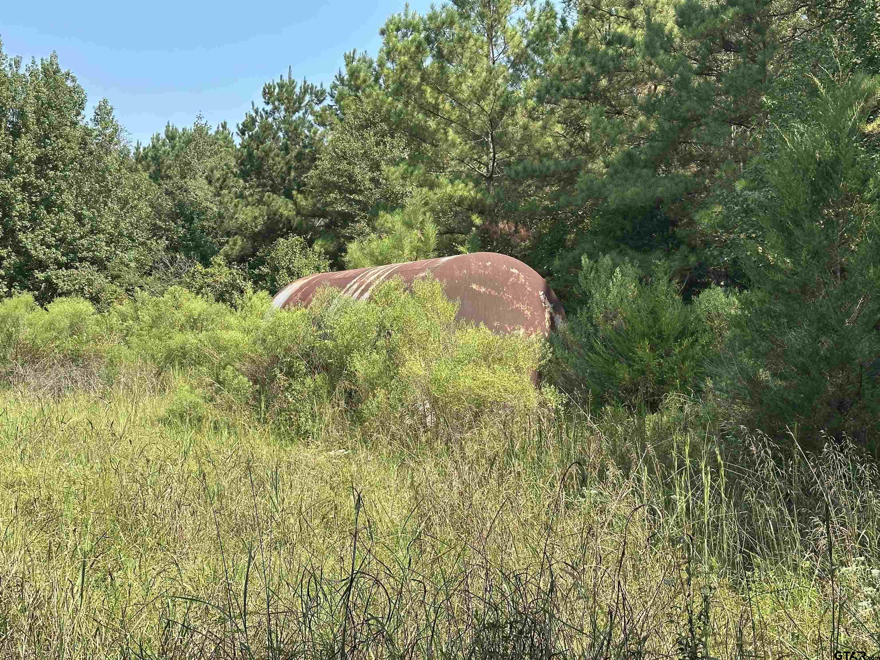 1101 Rusk Tx 75785 Rusk, TX 75785 - Photo 10 of 29 a view of a green yard with large trees
