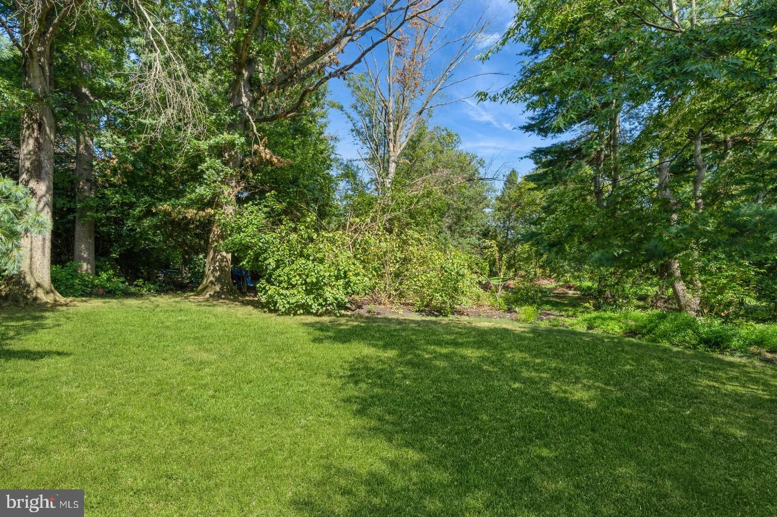 149 Parker Road South Plainsboro, NJ 08536 - Photo 55 of 57 a view of a garden