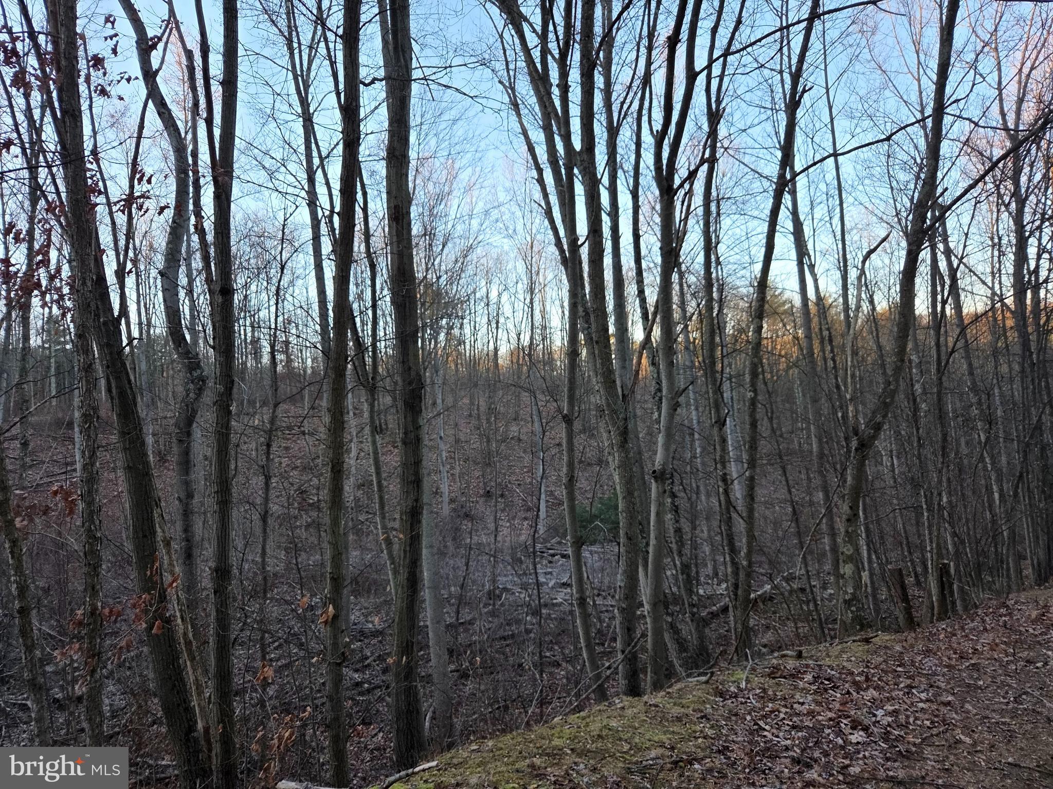 0 Log Cabin Road Fort Littleton, PA 17223 - Photo 14 of 17 Gallery Image 14
