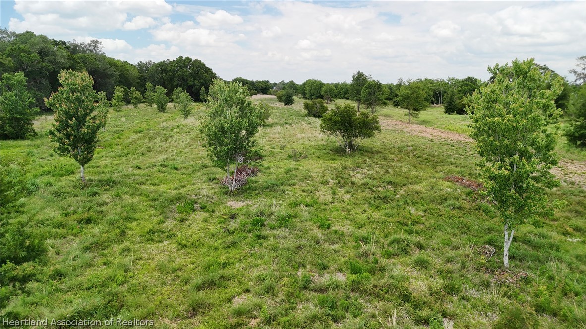 Parcel D Terrell Road Wauchula, FL 33873 - Photo 5 of 8