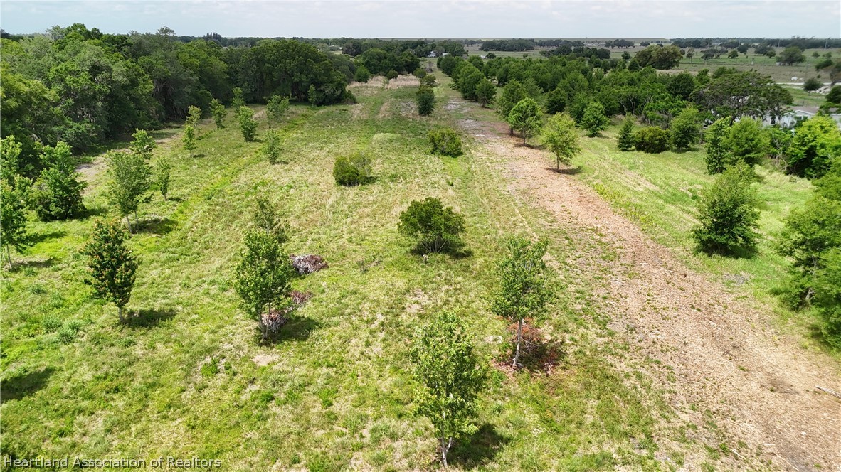 Parcel D Terrell Road Wauchula, FL 33873 - Photo 7 of 8