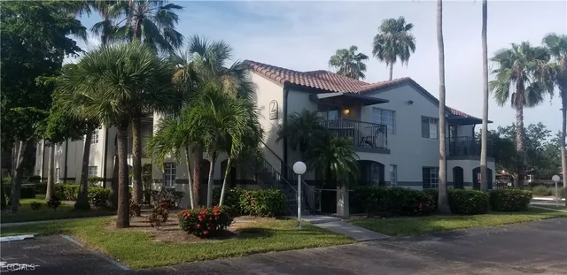 front view of a house with a palm tree