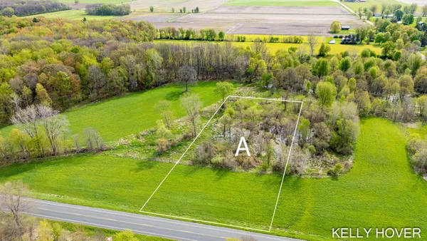 $120,000 | V/l V/l Parcel A 18th Street, Dorr, MI 49323