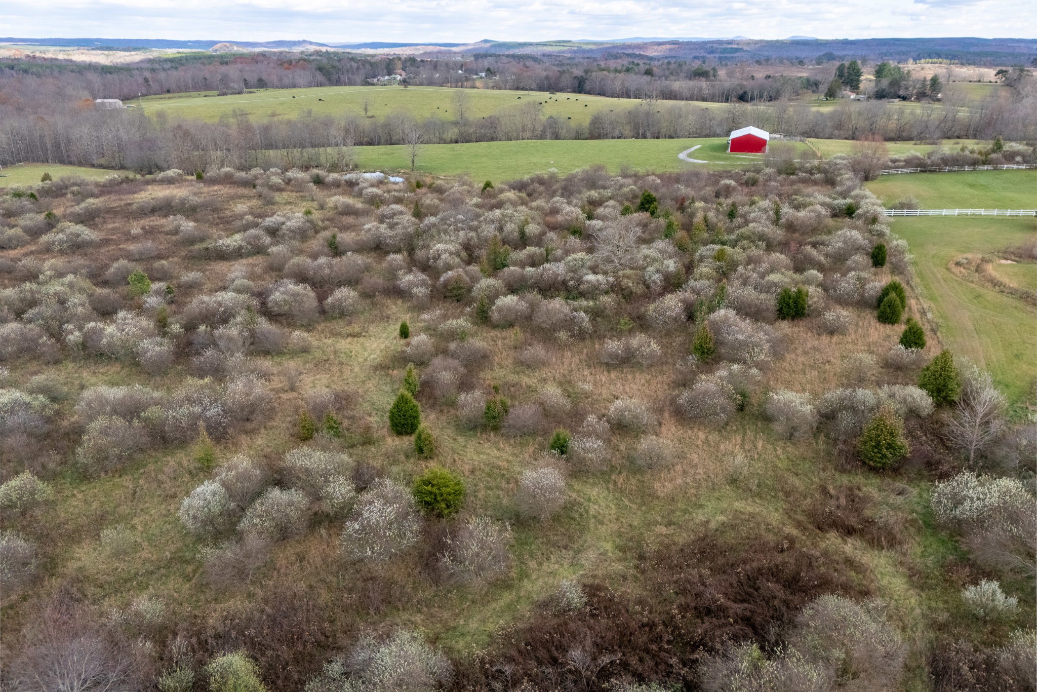 0 Eastland Road Sparta, TN 38583 - Photo 11 of 15 Gallery Image 11