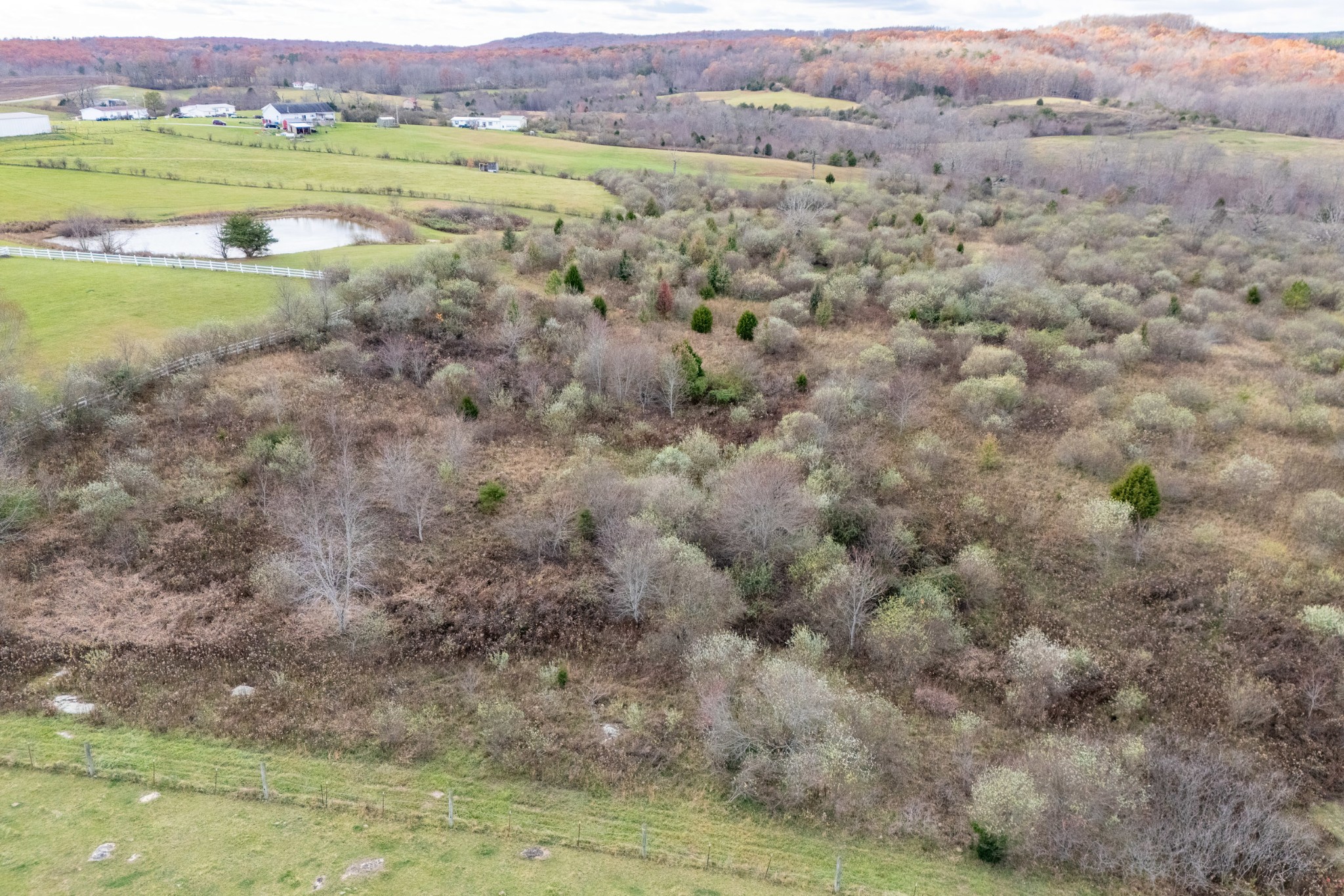 0 Eastland Road Sparta, TN 38583 - Photo 13 of 15 Gallery Image 13