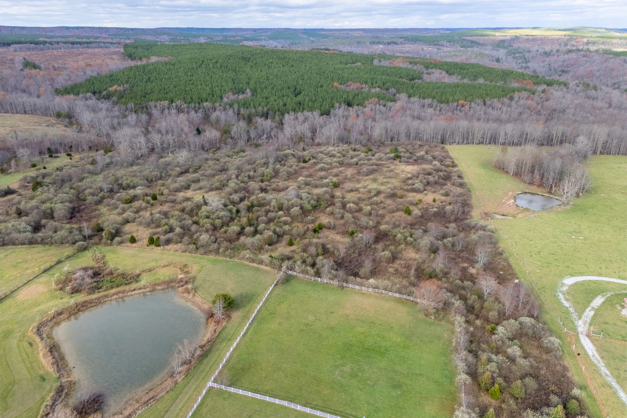 0 Eastland Road Sparta, TN 38583 - Photo 14 of 15 Gallery Image 14