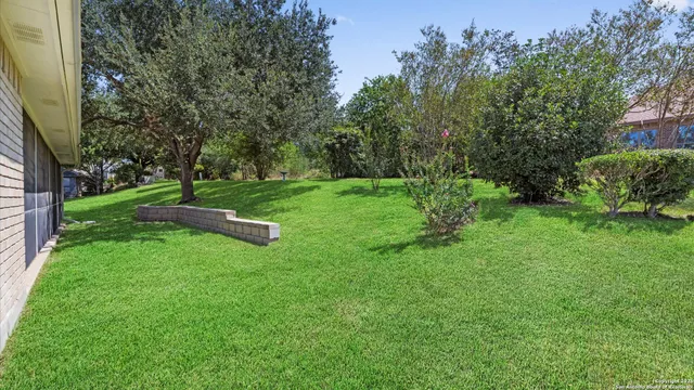 a view of a park with large trees