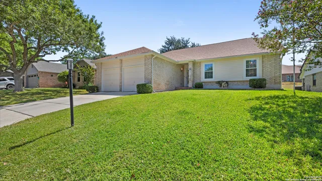 a view of a park with large trees