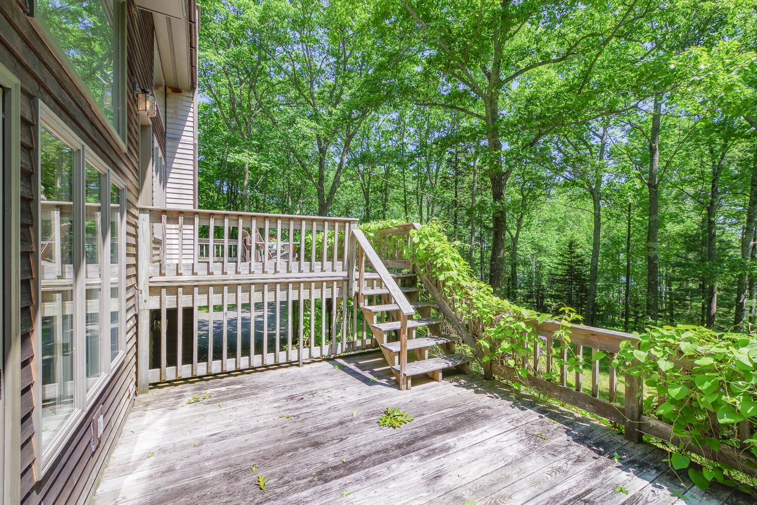 619 Shore Road Northport, ME 04849 - Photo 6 of 10 619 Shore Road
