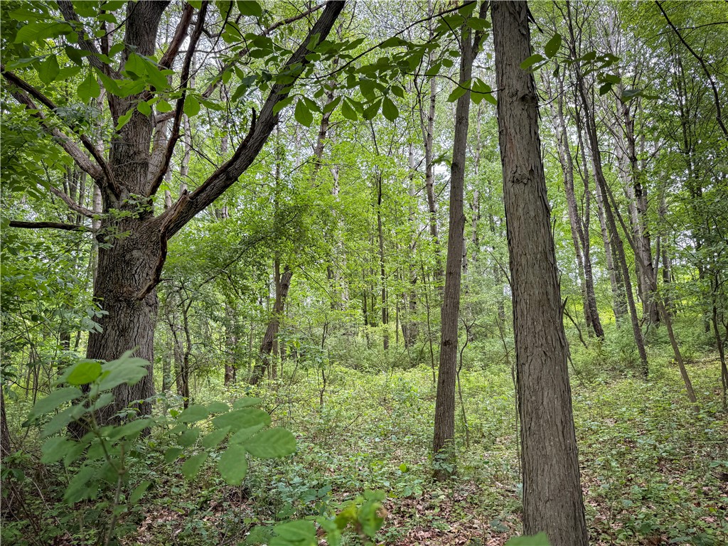 5401 Old Bath Road Barrington, NY 14837 - Photo 28 of 50