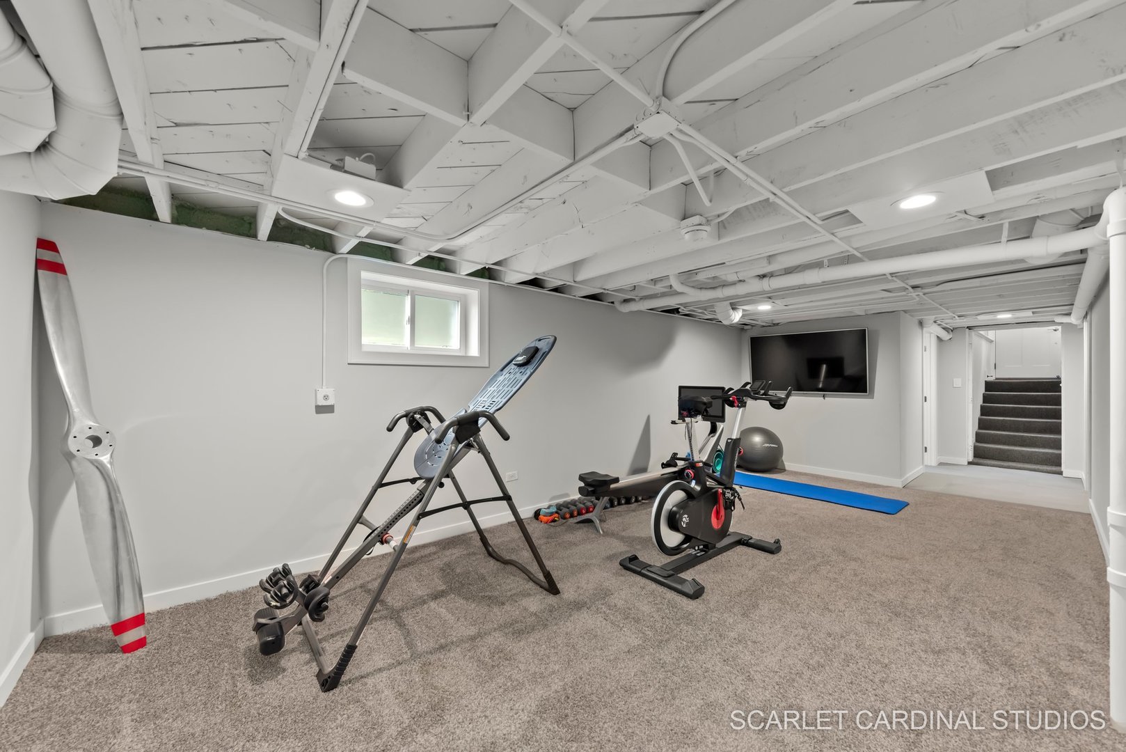 5738 Dunham Road Downers Grove, IL 60516 - Photo 20 of 24 Gallery Image 20
