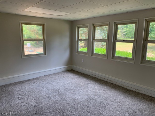 38522 Rogers Road Willoughby, OH 44094 - Photo 5 of 9 Unfurnished room with carpet floors and a drop ceiling