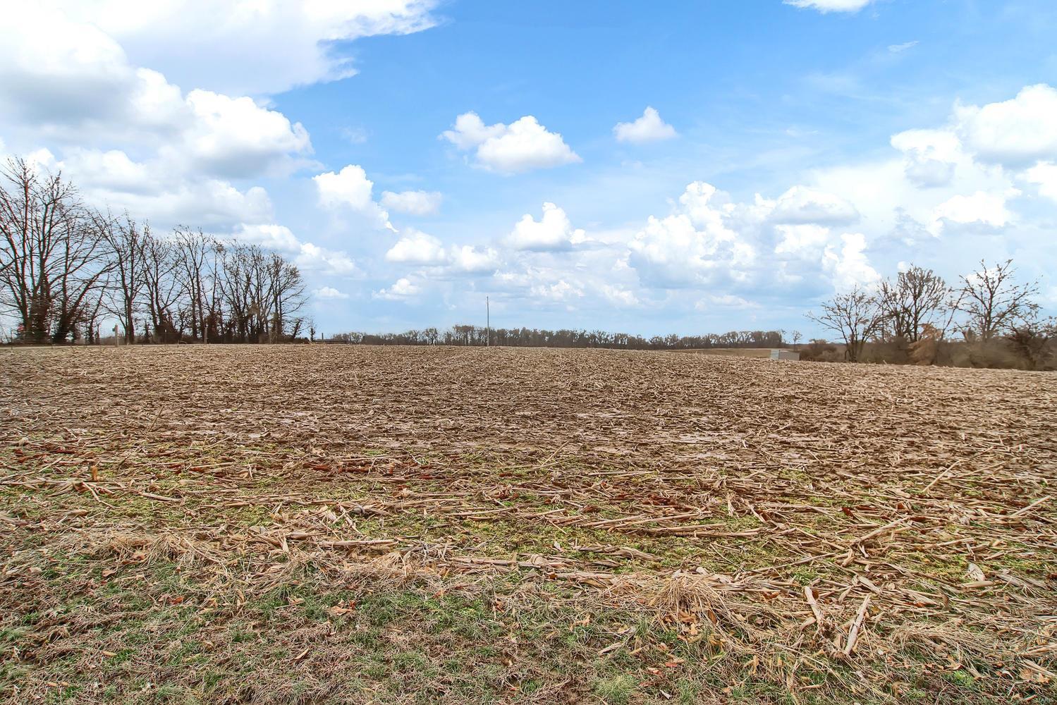 2623 Steinkoenig School Road Highland, IL 62249 - Photo 44 of 46 Gallery Image 44
