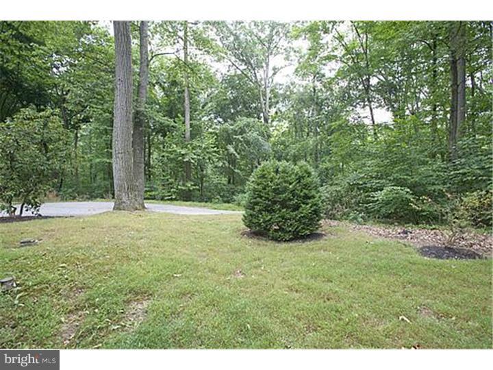 4225 Conestoga Road Elverson, PA 19520 - Photo 3 of 15 Gallery Image 3