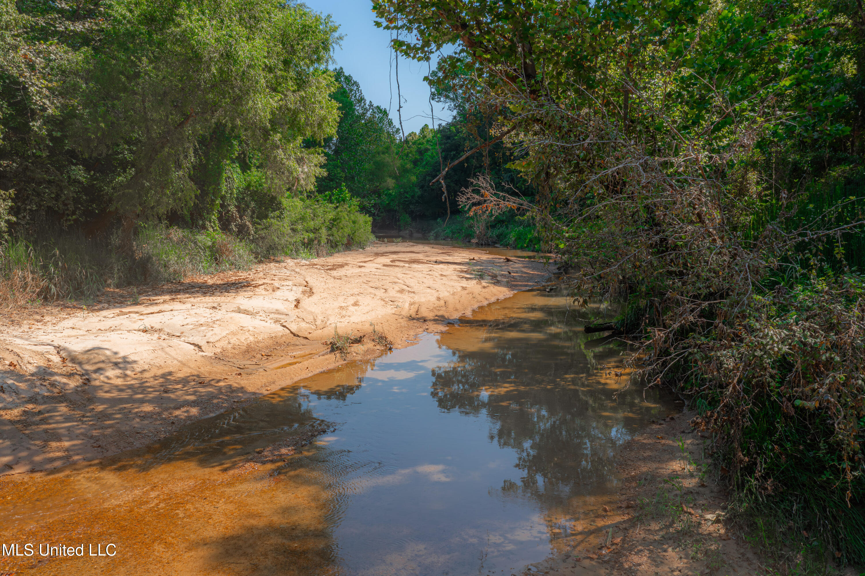 0 Warehouse Road Yazoo City, MS 39194 - Photo 12 of 102 DJI_0836