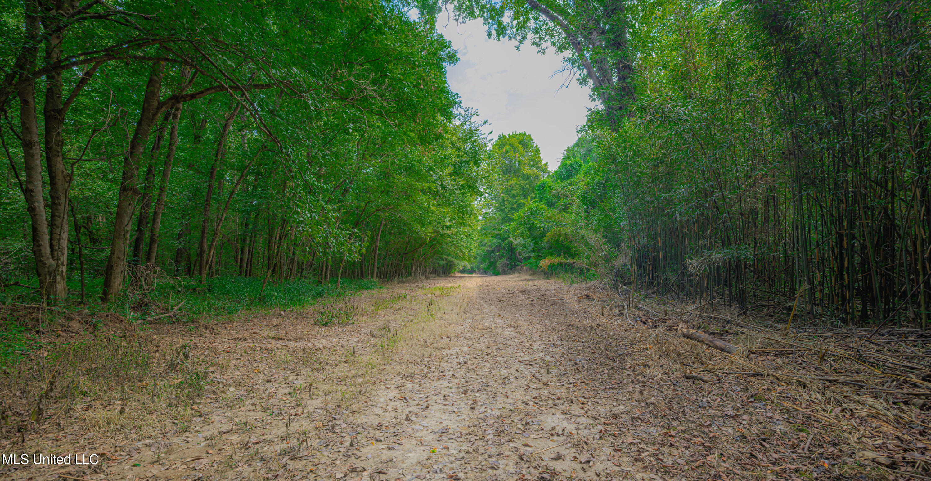 0 Warehouse Road Yazoo City, MS 39194 - Photo 13 of 102 1R4A7747