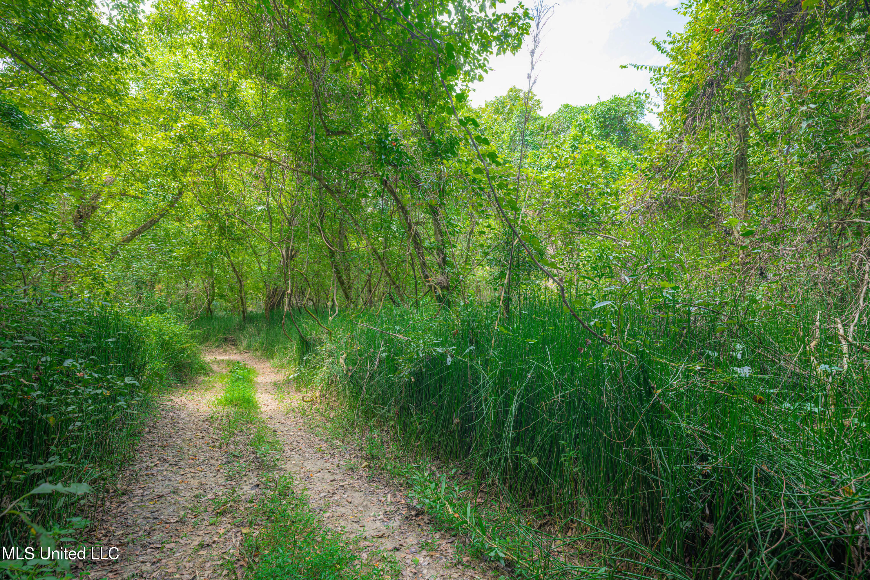 0 Warehouse Road Yazoo City, MS 39194 - Photo 14 of 102 1R4A7756