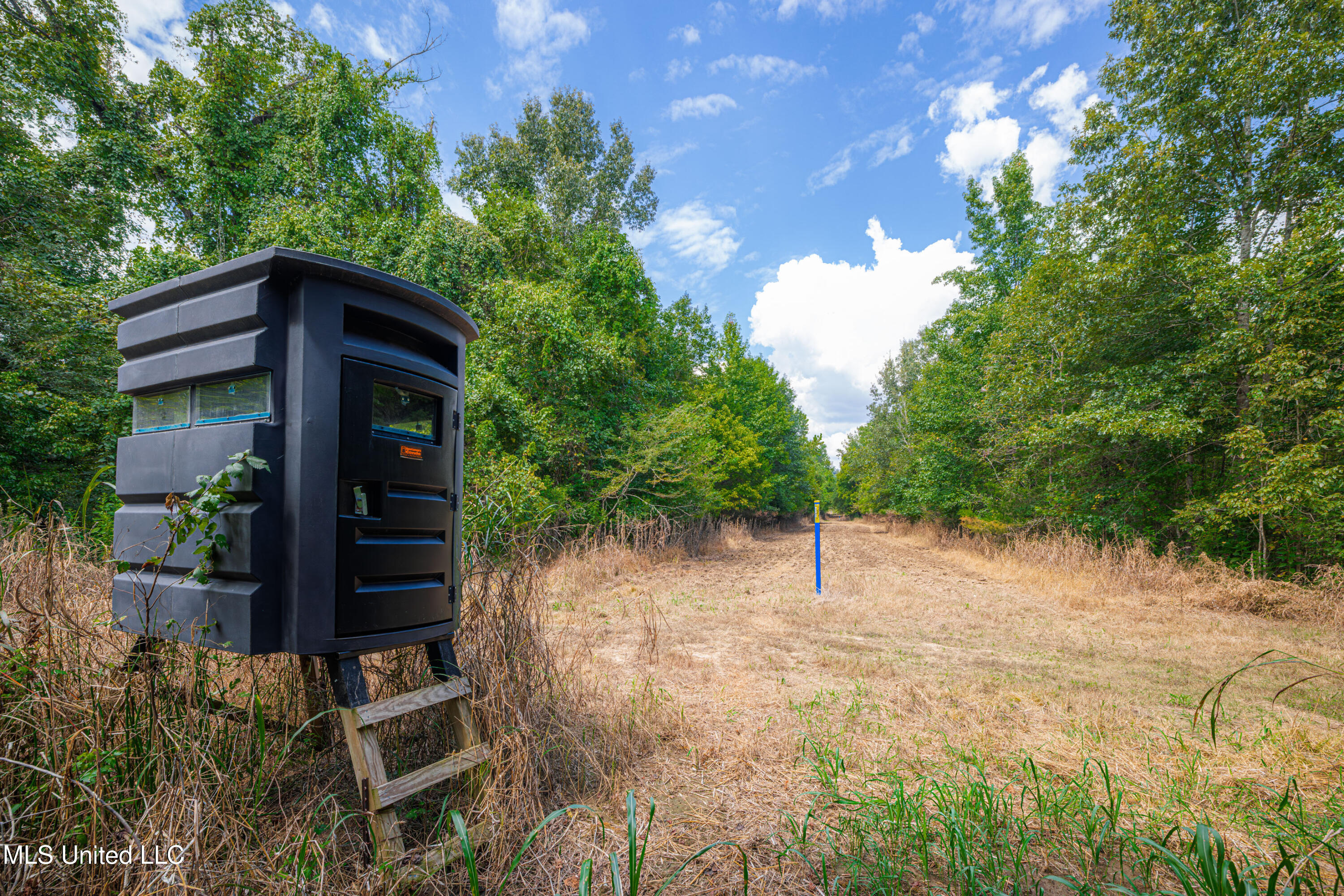0 Warehouse Road Yazoo City, MS 39194 - Photo 16 of 102 1R4A7774