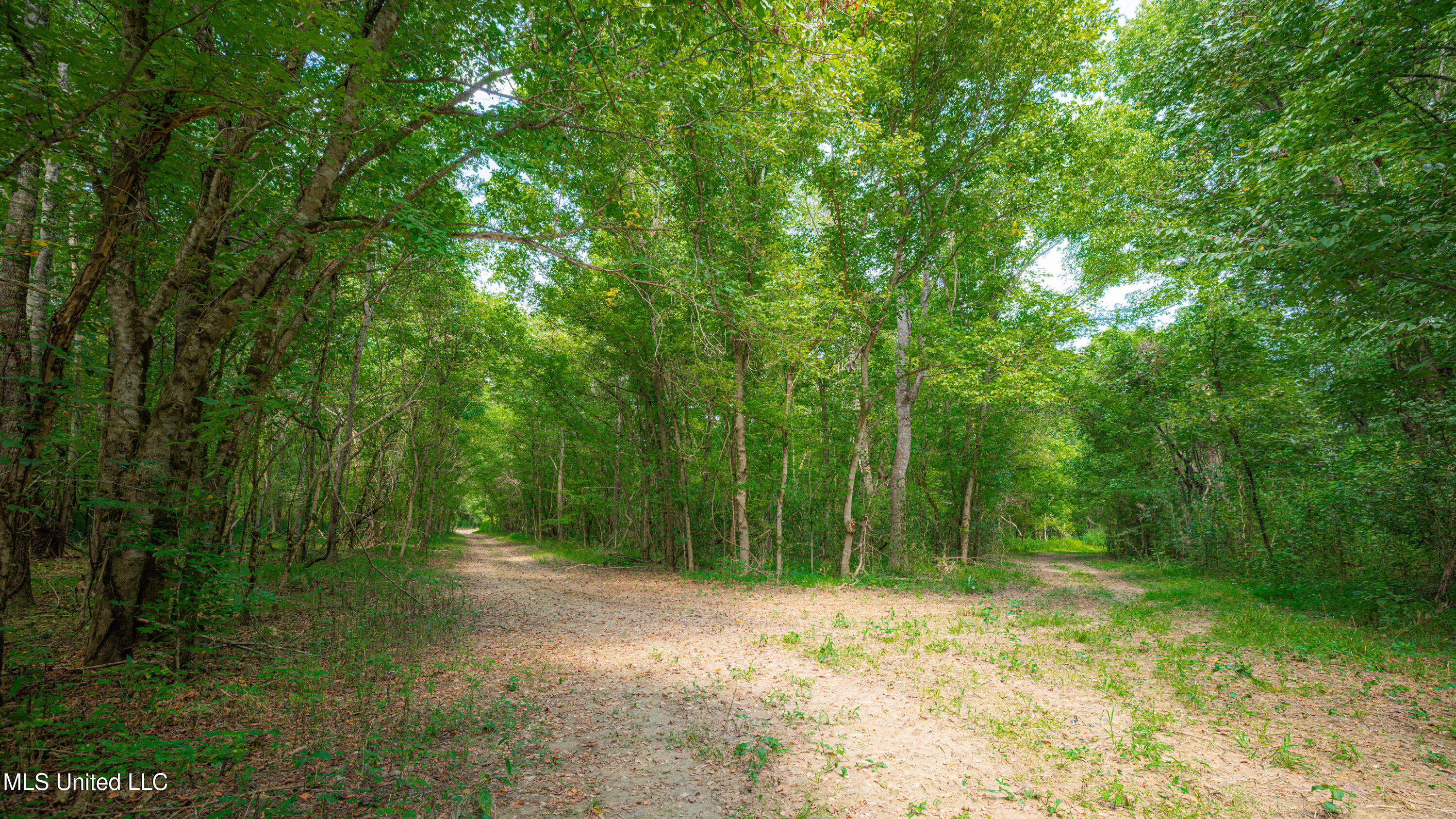 0 Warehouse Road Yazoo City, MS 39194 - Photo 17 of 102 1R4A7766