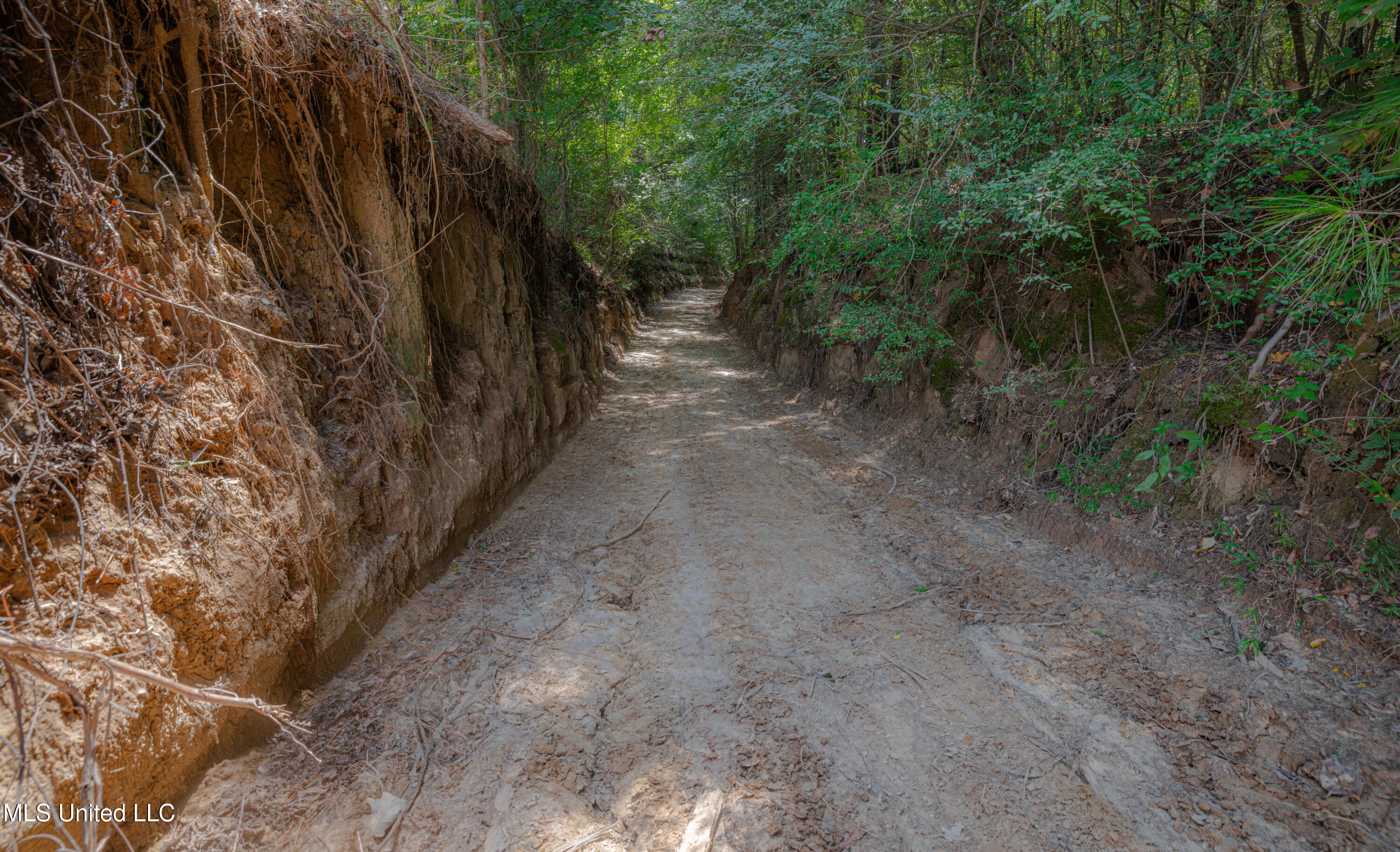 0 Warehouse Road Yazoo City, MS 39194 - Photo 20 of 102 1R4A7785