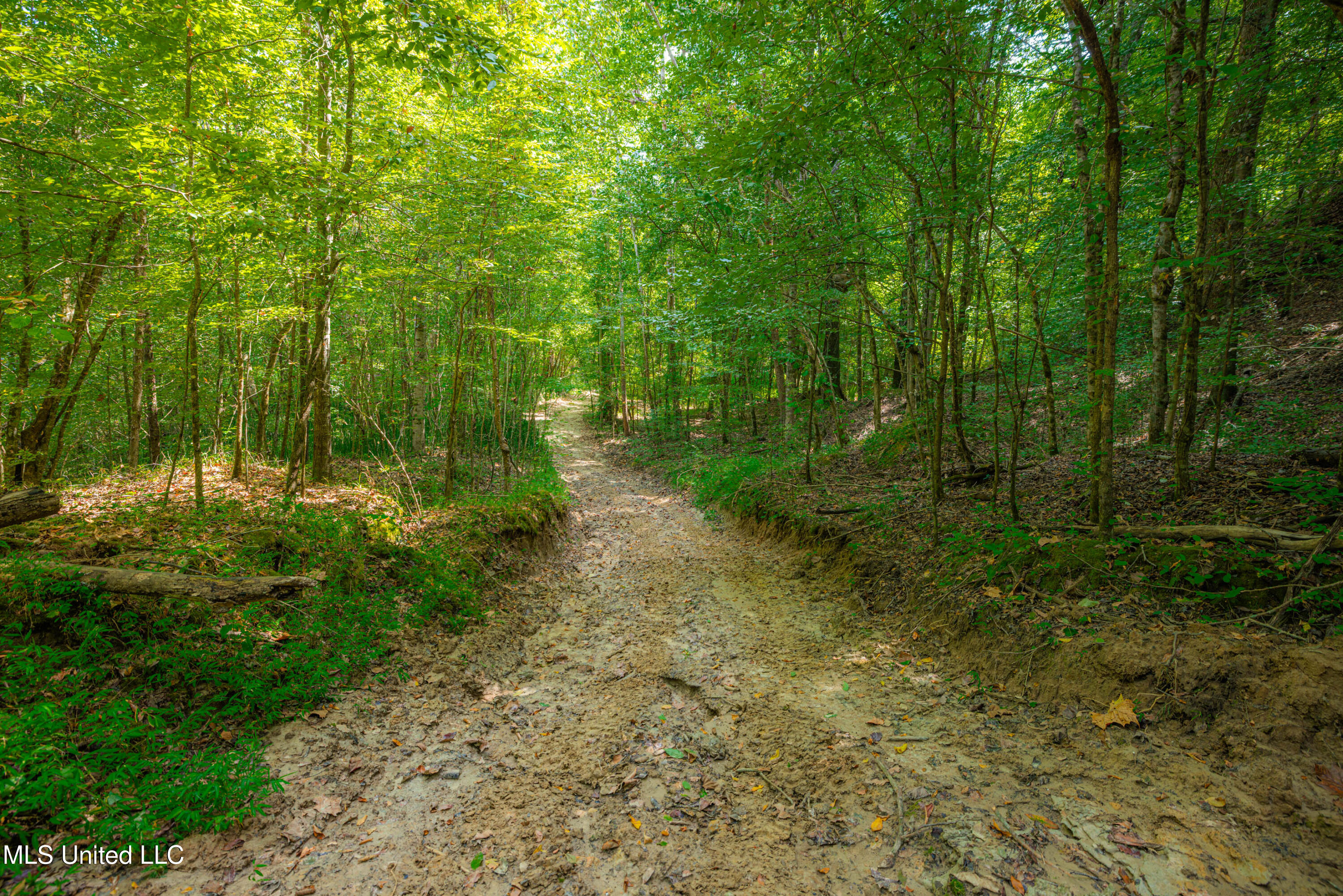 0 Warehouse Road Yazoo City, MS 39194 - Photo 21 of 102 1R4A7758