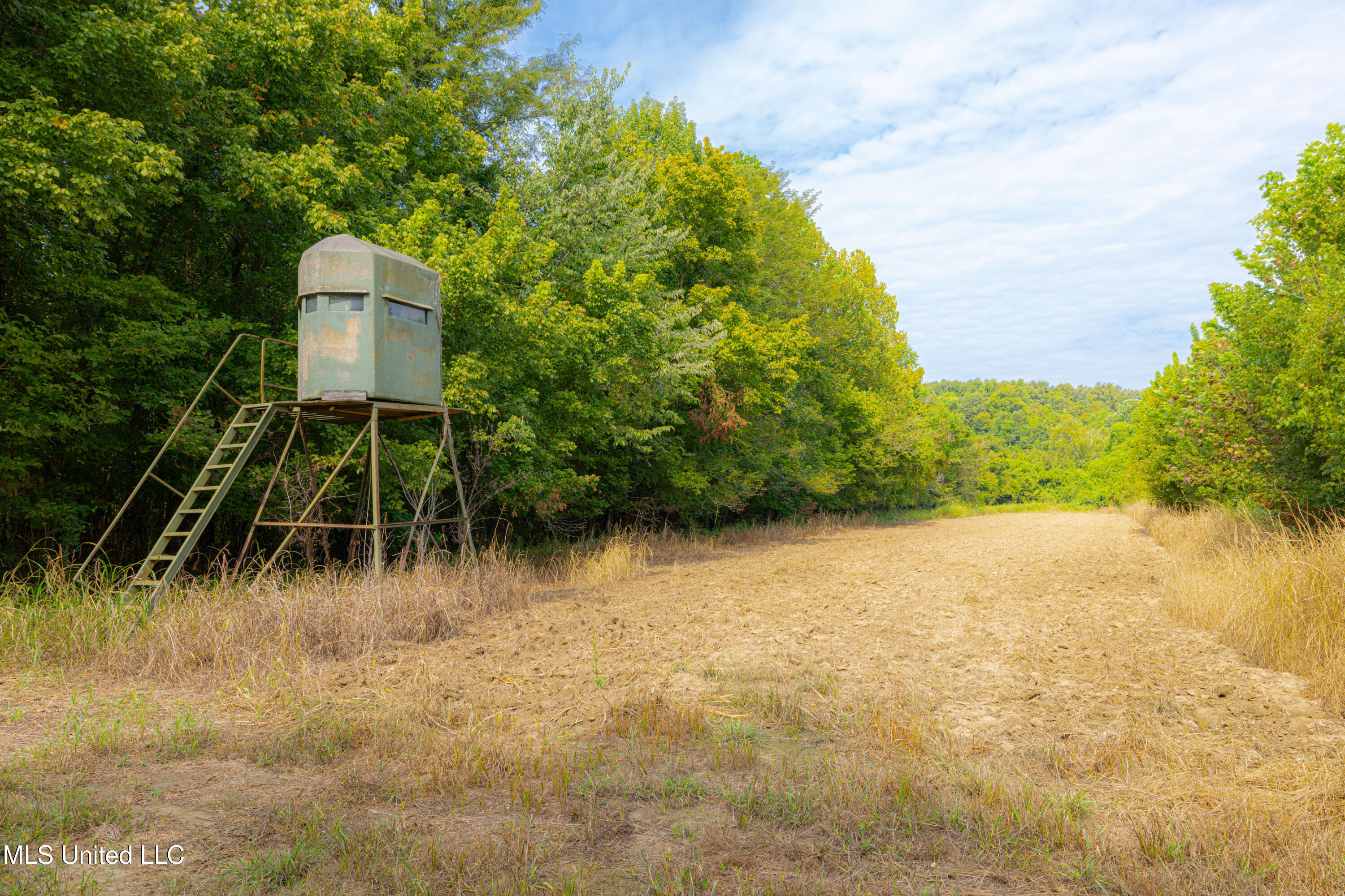 0 Warehouse Road Yazoo City, MS 39194 - Photo 30 of 102 1R4A7731