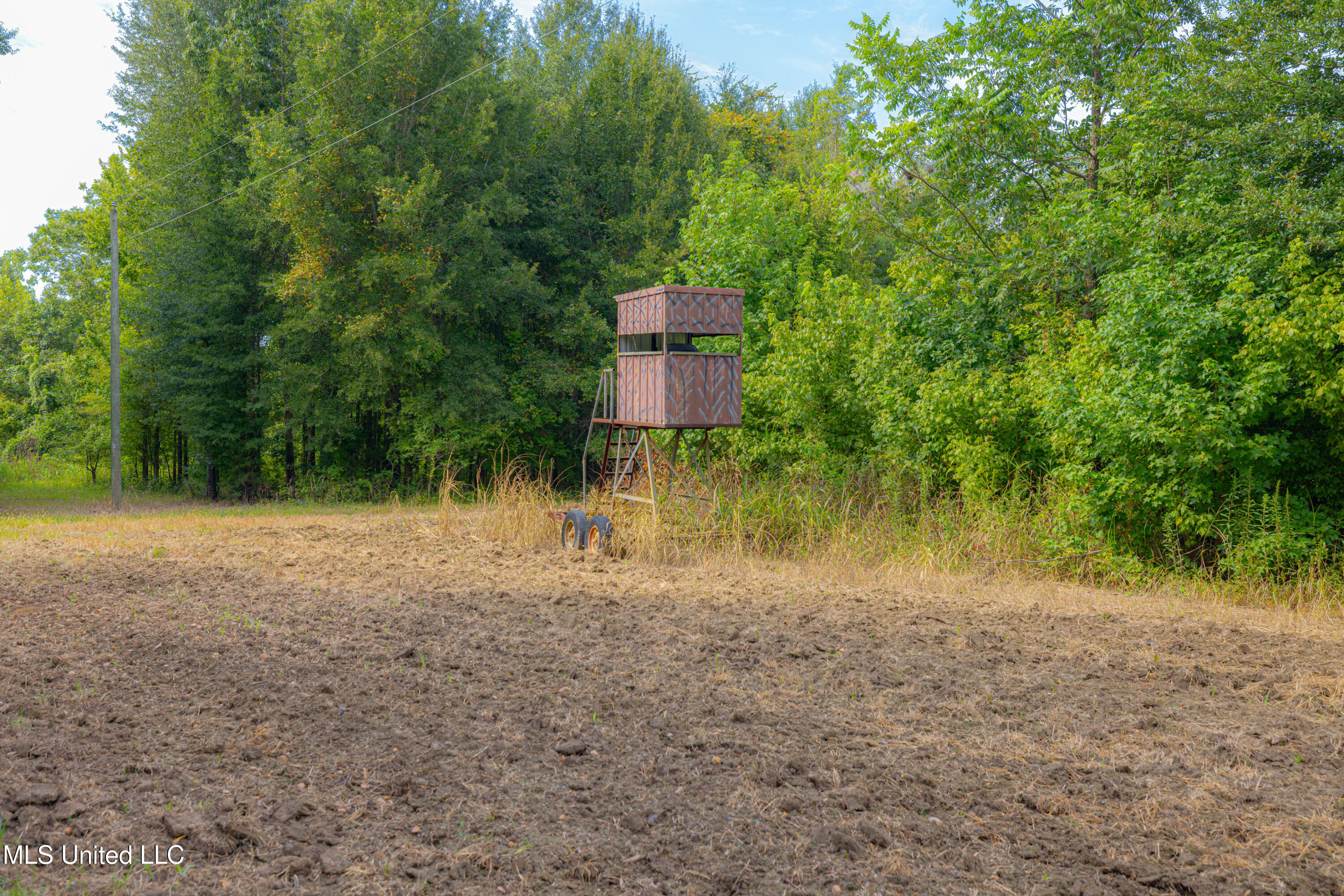 0 Warehouse Road Yazoo City, MS 39194 - Photo 31 of 102 1R4A7729