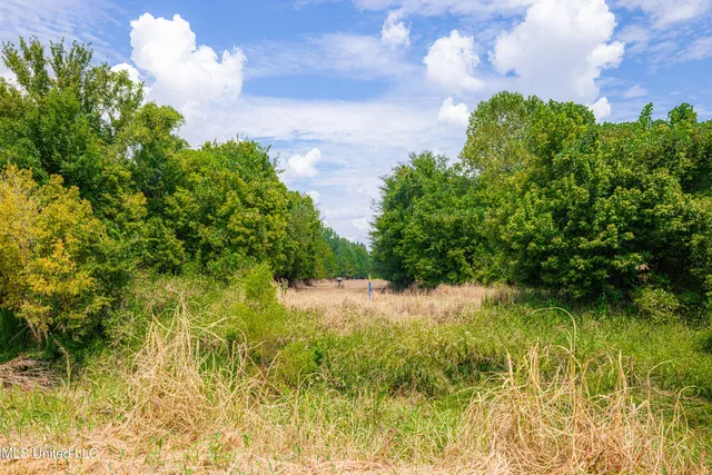 $4,215,000 | 0 Warehouse Road, Yazoo City, MS 39194
