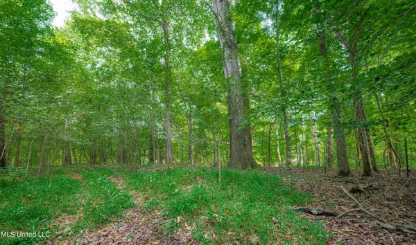 $4,215,000 | 0 Warehouse Road, Yazoo City, MS 39194