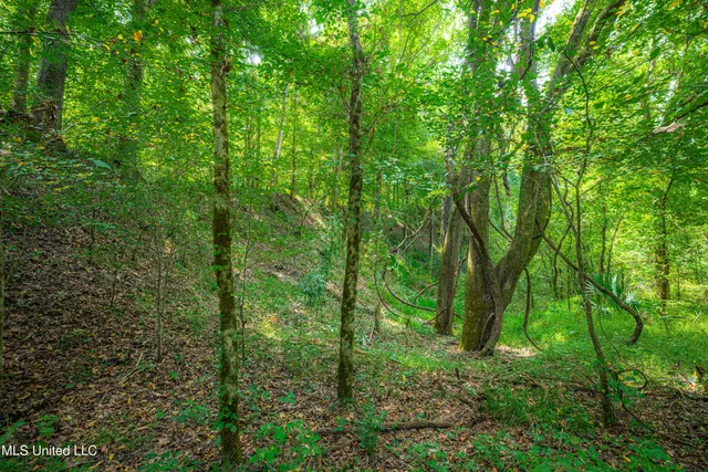 $4,215,000 | 0 Warehouse Road, Yazoo City, MS 39194