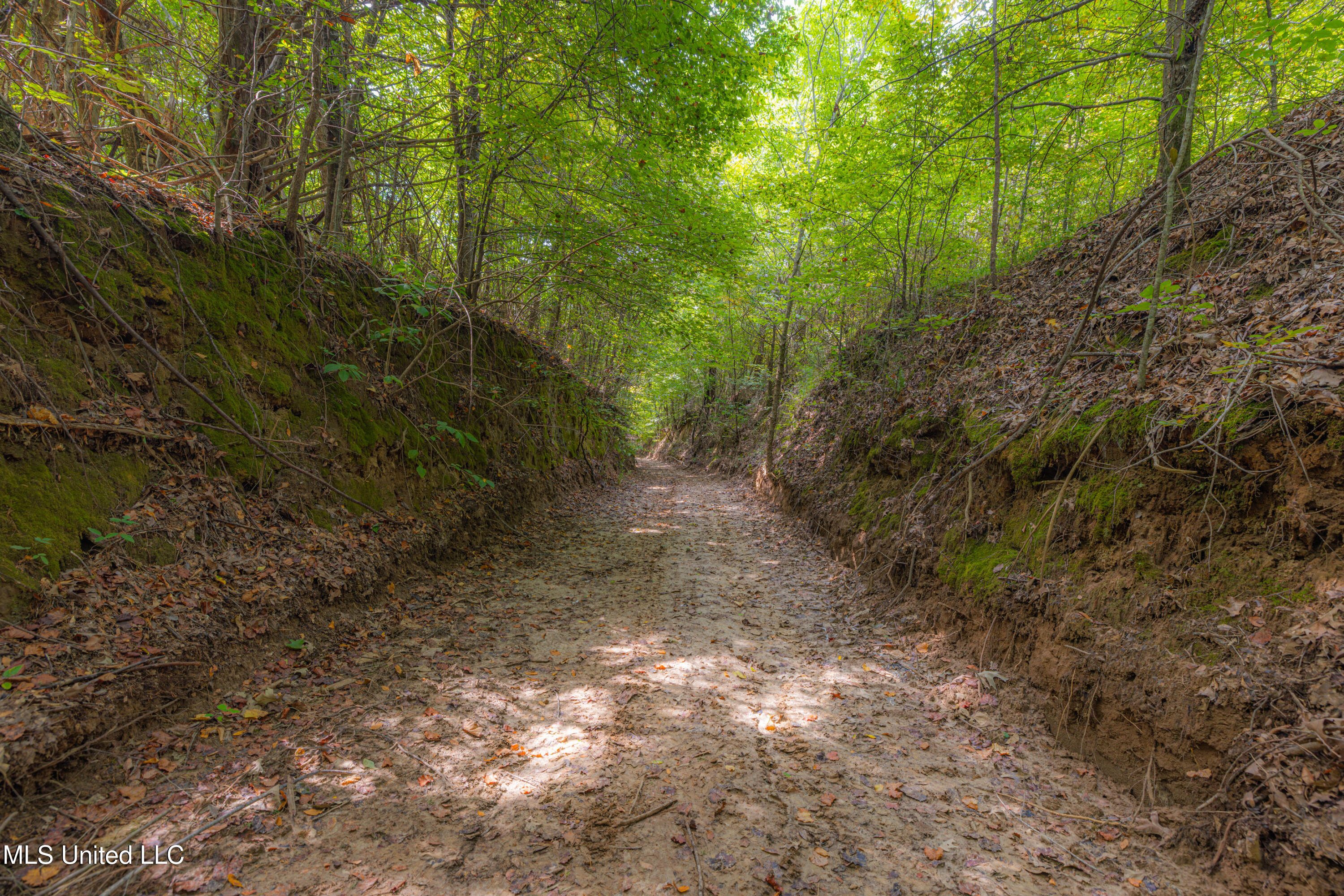 0 Warehouse Road Yazoo City, MS 39194 - Photo 35 of 102 1R4A7740