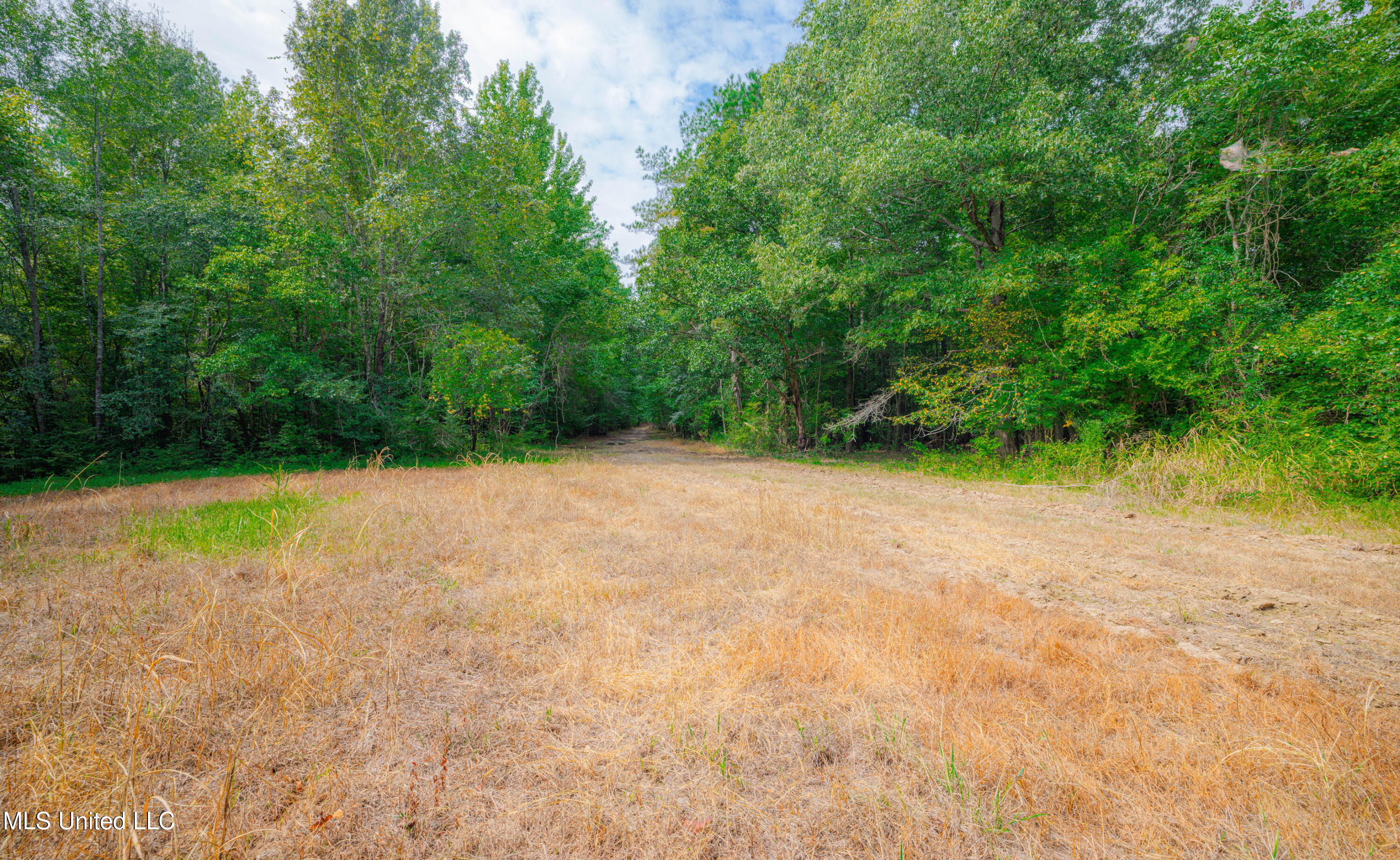 0 Warehouse Road Yazoo City, MS 39194 - Photo 36 of 102 1R4A7746