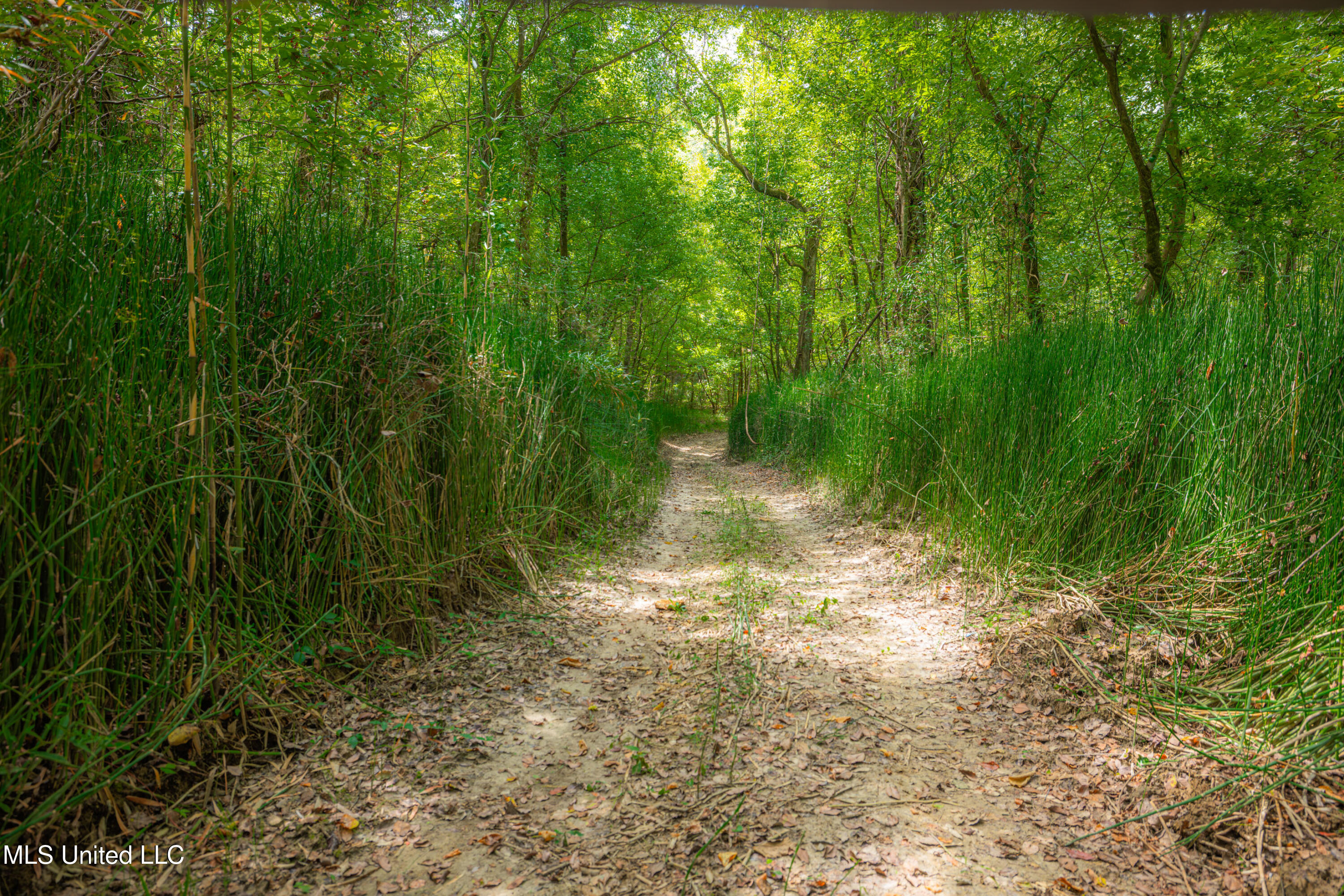 0 Warehouse Road Yazoo City, MS 39194 - Photo 37 of 102 1R4A7757