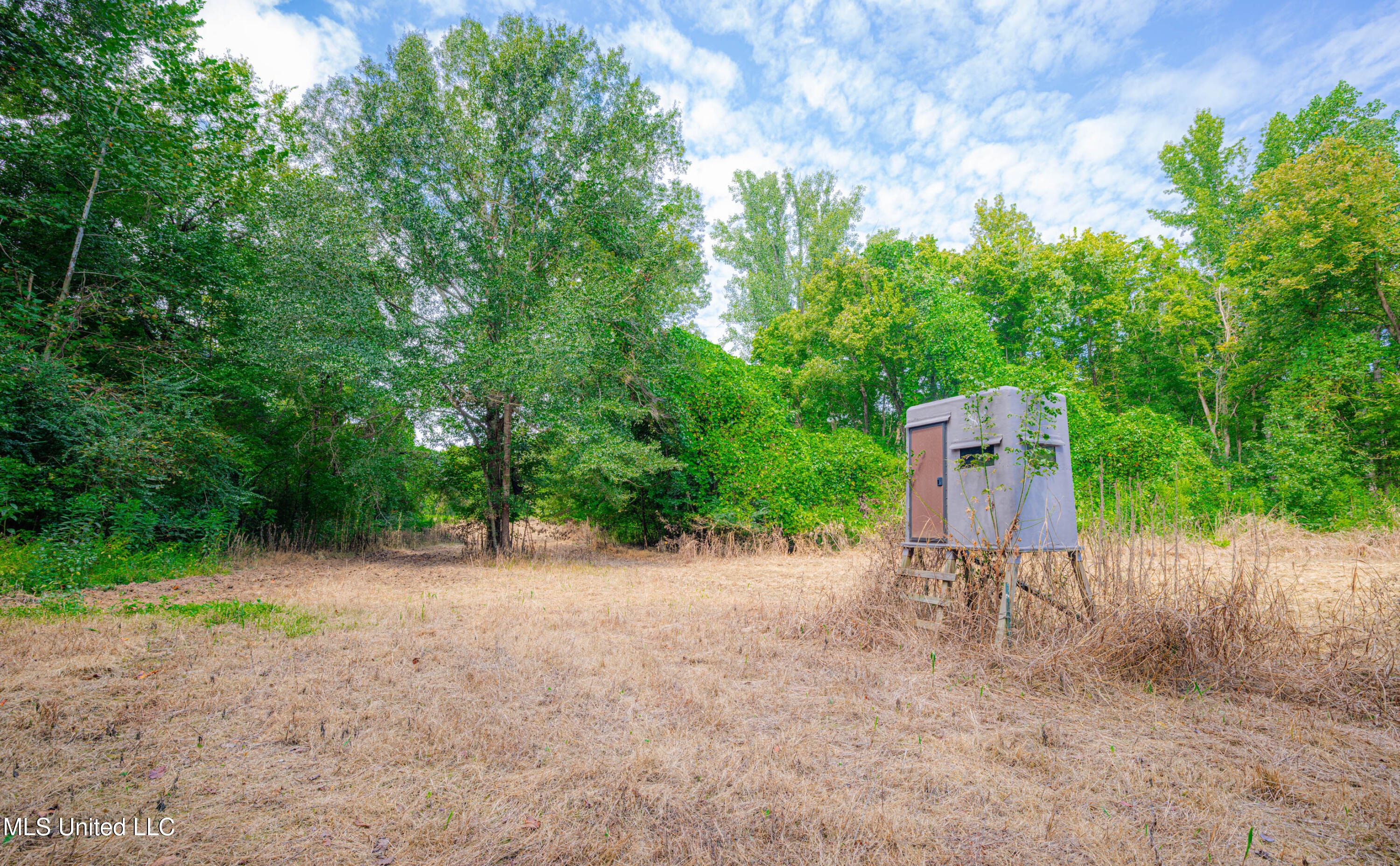 0 Warehouse Road Yazoo City, MS 39194 - Photo 38 of 102 1R4A7749