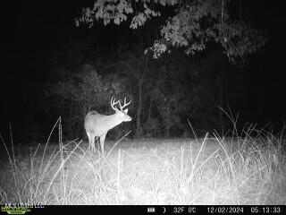 0 Warehouse Road Yazoo City, MS 39194 - Photo 39 of 102 d2