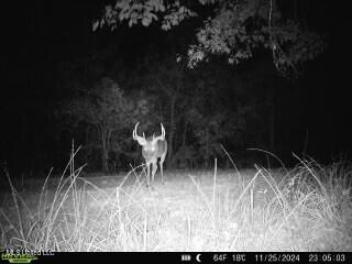 0 Warehouse Road Yazoo City, MS 39194 - Photo 40 of 102 d3