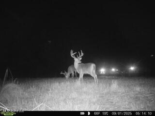 0 Warehouse Road Yazoo City, MS 39194 - Photo 4 of 102 d1