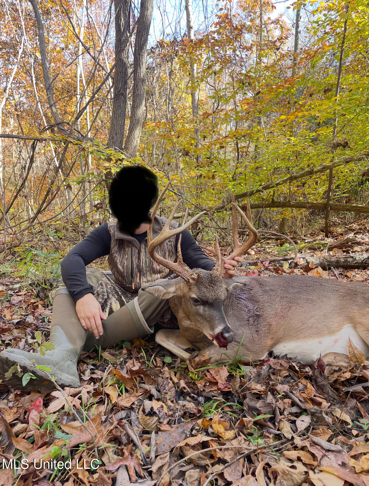 0 Warehouse Road Yazoo City, MS 39194 - Photo 41 of 102 IMG_8137