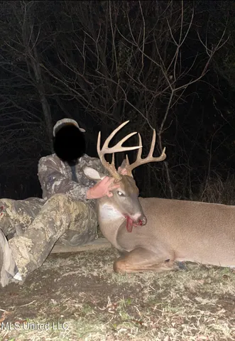 $4,215,000 | 0 Warehouse Road, Yazoo City, MS 39194