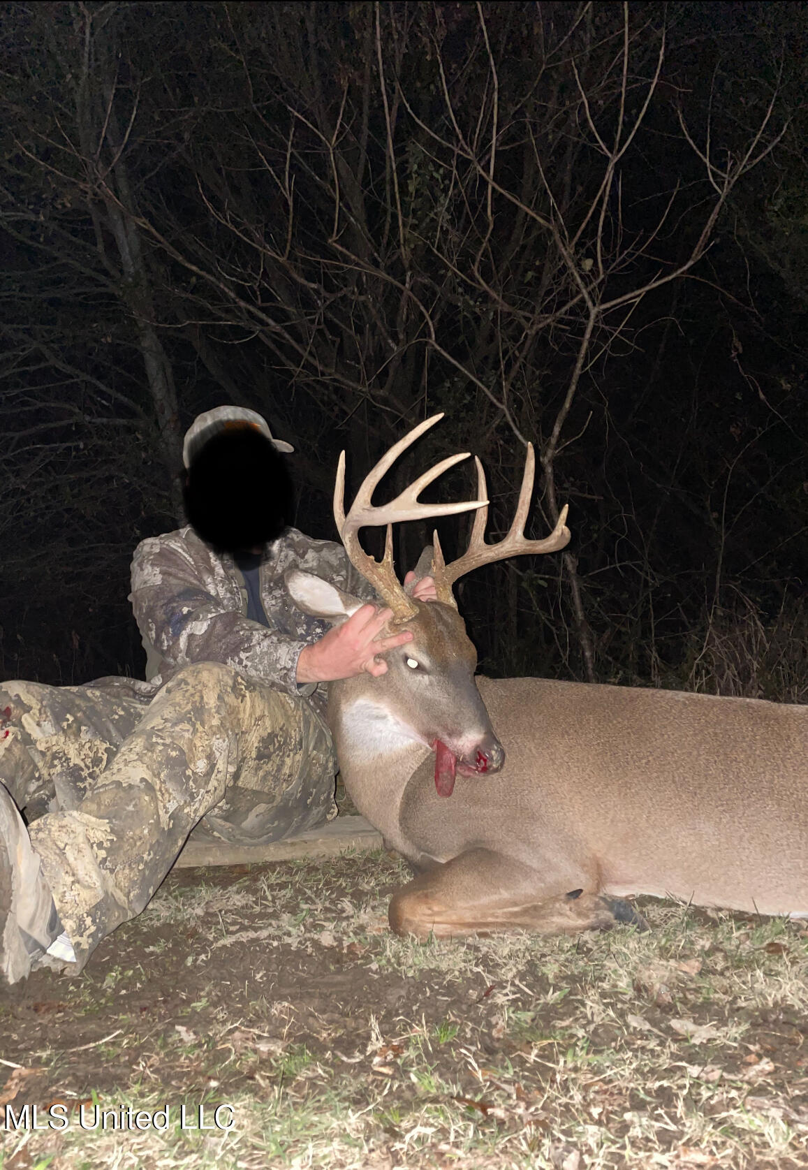 0 Warehouse Road Yazoo City, MS 39194 - Photo 42 of 102 IMG_8136