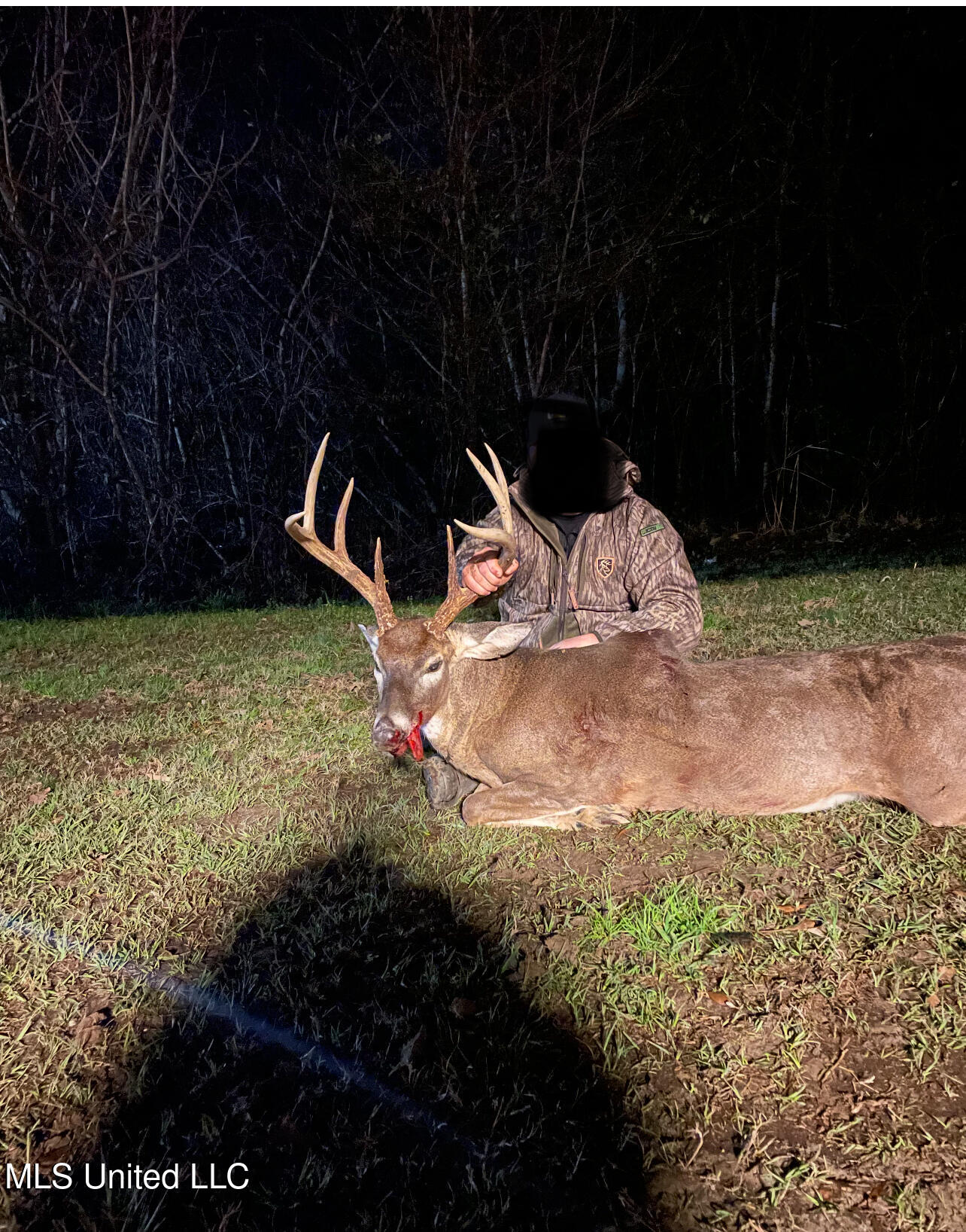 0 Warehouse Road Yazoo City, MS 39194 - Photo 43 of 102 IMG_8130